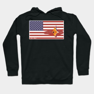 United States of Redfish Hoodie